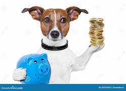 Dog With Money